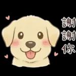 小拉拉 實用日常