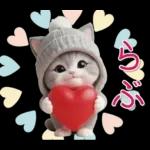 スコティッシュ猫 可愛いグレーニット 冬