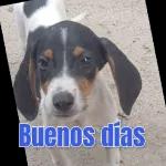 Buenos días