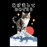 毎年使える♪リアルなにゃんこの年末年始