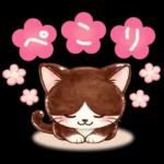 猫まみれのやさしい日常【春】