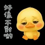 陰陽怪氣的小鴨鴨