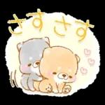 初夏❤️いやしばいぬ❤️16/柴犬