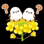 春のシマエナガ♪