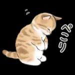 ふんわり可愛い☆猫たちのスタンプ