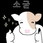 호기심 많은 소