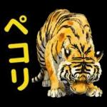 大阪神戸の野球好き虎ファン向け5とらほー
