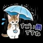 夏の毎日☆猫たちのスタンプ２