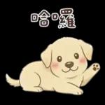 小拉拉 實用日常