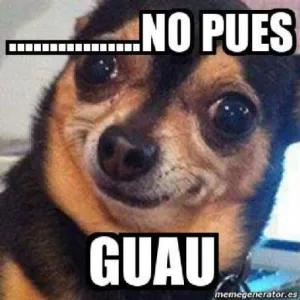 NO PUES GUAU - getsticker.com