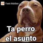 Tenía que ser don pendejo