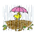 [날씨]초강력 태풍 '라가사' 中으로..