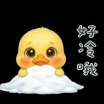 陰陽怪氣的小鴨鴨