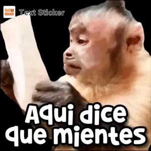 Aqui dice que mientes - getsticker.com