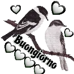 Tanti bacini a te Buongiorno