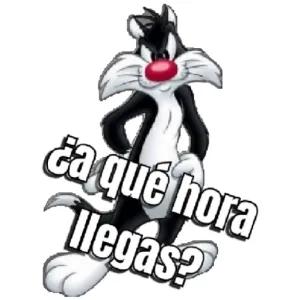 RFDszz