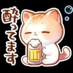 毎日♡猫ちゃんず【連絡・今何してる？】