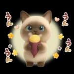 ちびニャンず♡ずっと使える-秋冬-