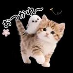 仲良し♡シマエナガと子猫ちゃん