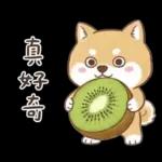 柴犬可愛諧音梗