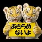 大阪神戸の野球好き虎ファン向け5とらほー