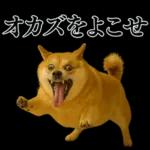 ガンギマリの柴犬＠エロ・日常会話