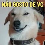 por mim voltei