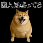 ガンギマリの柴犬＠エロ・日常会話