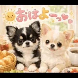 おはようっ - getsticker.com