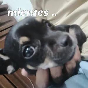 CMPxZi