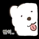 왕털뭉치 사모예드