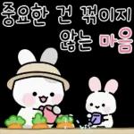 응원토끼 하루가 너의 하루를 응원해