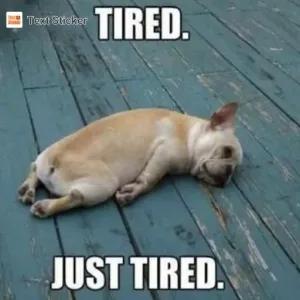 TIRED. JUST TIRED. - getsticker.com