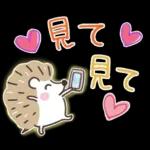 大人の気遣い19♡カラフル秋冬