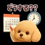 【3D】毎日使える挨拶♡トイプードル