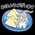 夏の毎日☆猫たちのスタンプ２