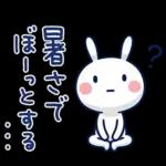 毎日使える夏☆ほぼ白うさぎ