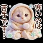 冬の猫のスコティッシュ【よく使う言葉】