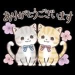 毎日使える♡大人可愛いガーリーキャット2