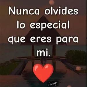 Nunca olvides lo especial que eres para mi. - getsticker.com