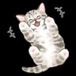 ふんわり可愛い☆猫たちのスタンプ