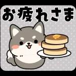 飛び出す！シバイヌの日常敬語スタンプ