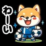 サッカー大好きな柴犬