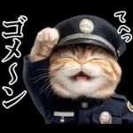 リアル猫警察官