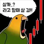투자 전문가, 껄무새
