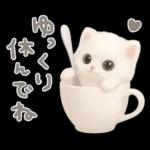 モフモフ白ネコ