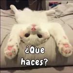 ¿Que haces?