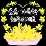 가정의 달 꽃 선물