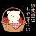 冬のもこもこくまさん(お正月とクリスマス)