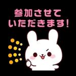 連絡白うさちゃん